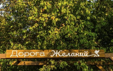 Деревянный указатель «Дорога Желаний» среди зелёных деревьев в Park Home